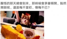 向太最新爆料动态